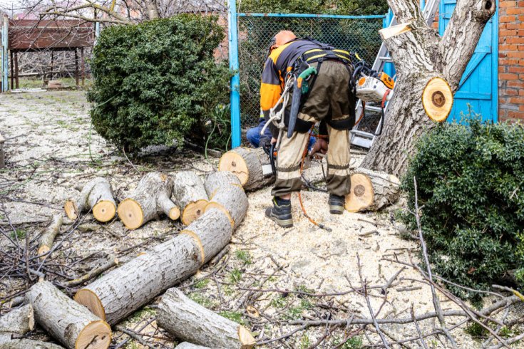 Is Stump Grinding Enough for Landscaping Projects?